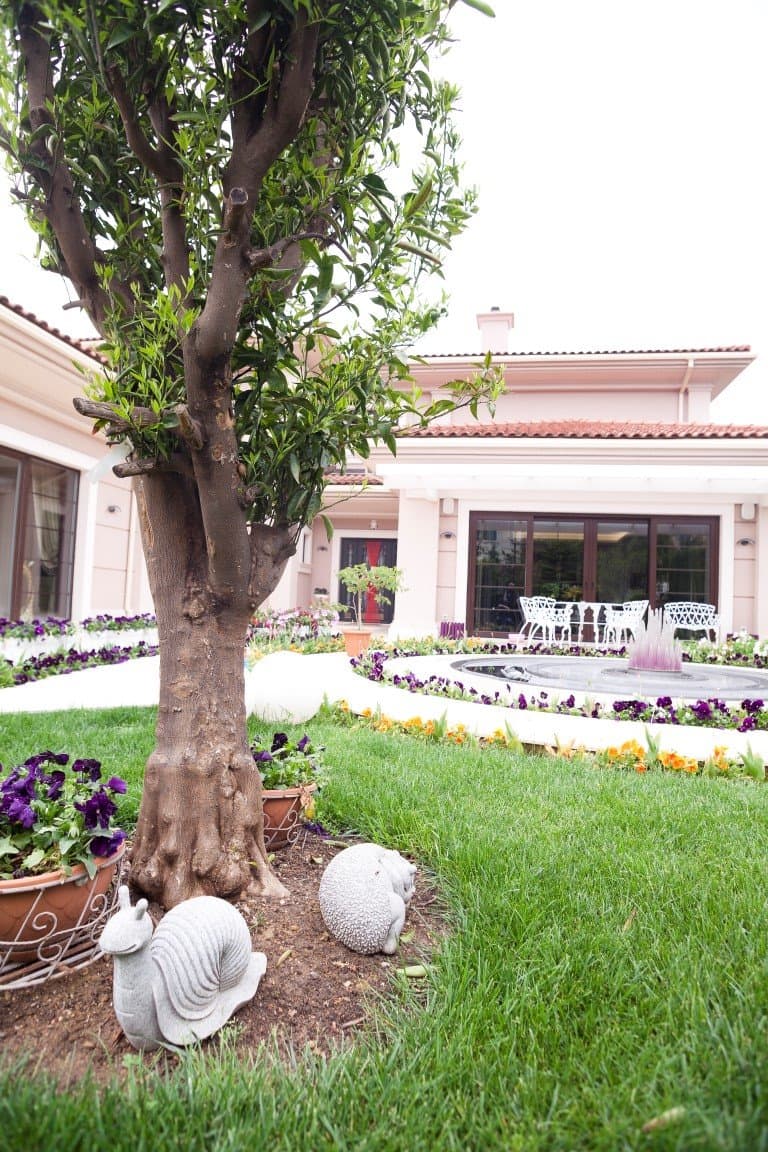 Pelikan Hill Malikane - Görsel 3